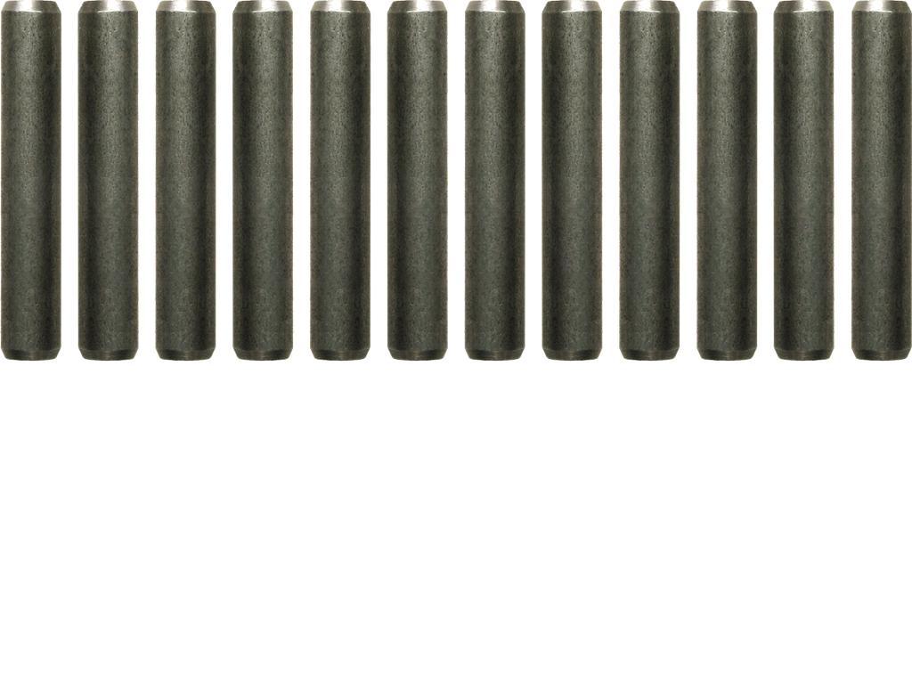 Sheer Pin Set 12 pcs (60385233, PICHLER)