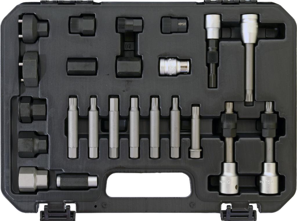 Alternator Bit Socket Set 24 pcs (60483300, PICHLER)