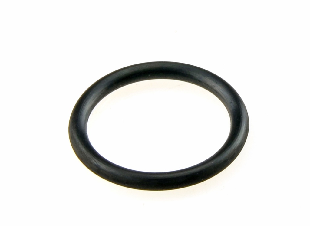 O-Ring für Adapter EFTA 17 (61217102, PICHLER)