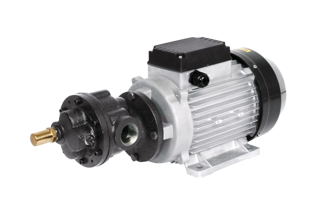 Elektrinis alyvos siurblys 230 V, 50 l/min (61614, EUROLUBE)