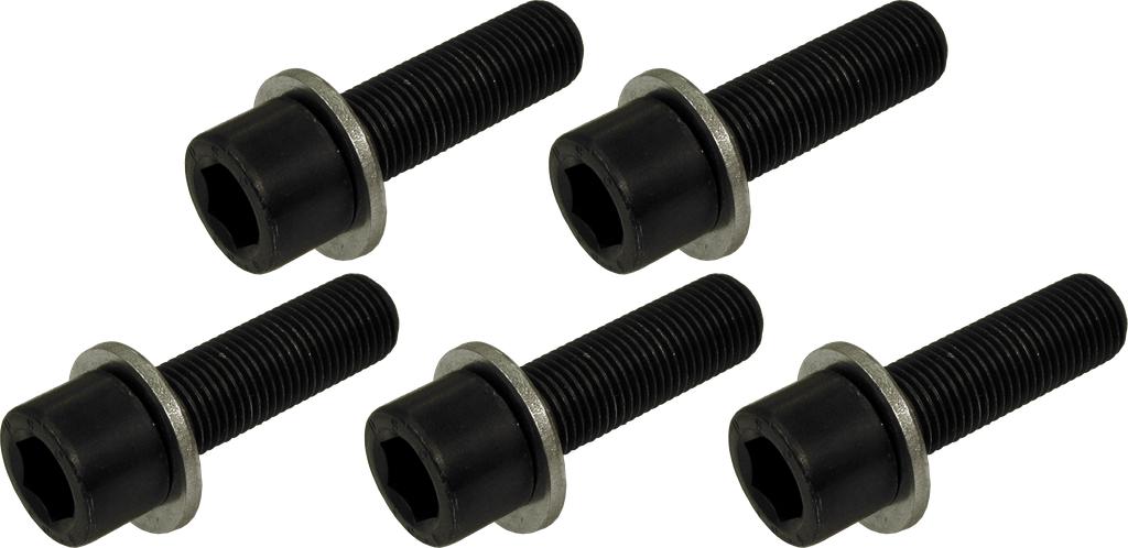 Spare wheel screws 5 pcs. M12x1.25 quality 10.9 (6148733, PICHLER)
