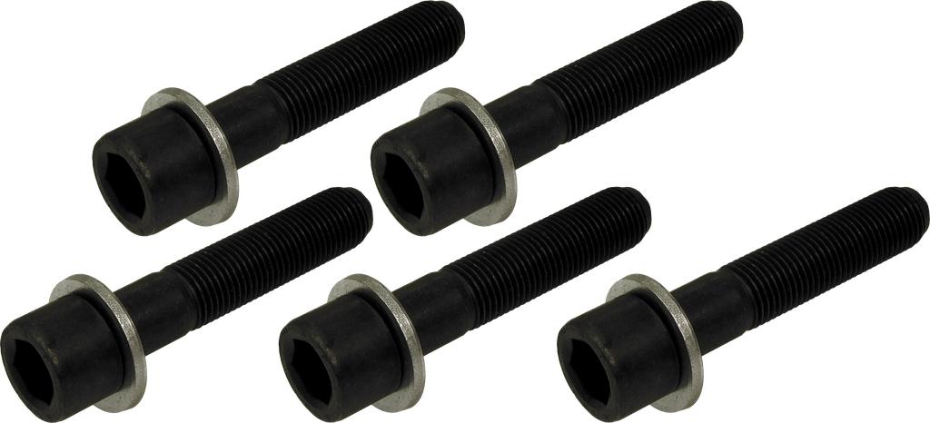 Ersatz-Radschrauben 5-tlg. M 12 x 1,25 Qualität 10.9 (61487330, PICHLER)