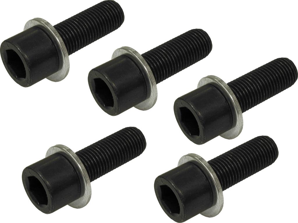 Ersatz-Radschrauben 5-tlg. M 14 x 1,5 Qualität 10.9 (6148735, PICHLER)