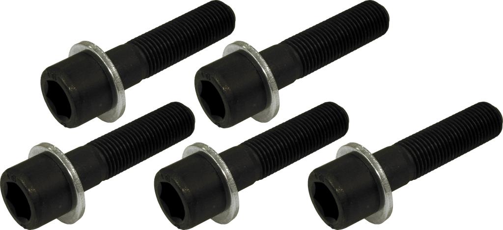 Ersatz-Radschrauben 5-tlg. M 14 x 1,5 Qualität 10.9 (61487350, PICHLER)