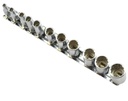 Socket Set 1/4" 4 - 14 mm twelve-point 11pcs on a Rail (7205300, PICHLER)