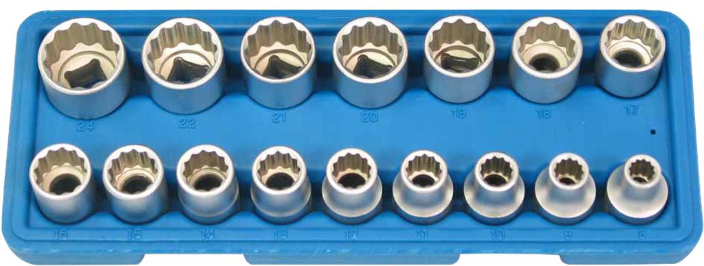 Stecknuss-Satz 1/2" Antrieb 12-kant SW 8 - SW 24 (74017000, PICHLER)