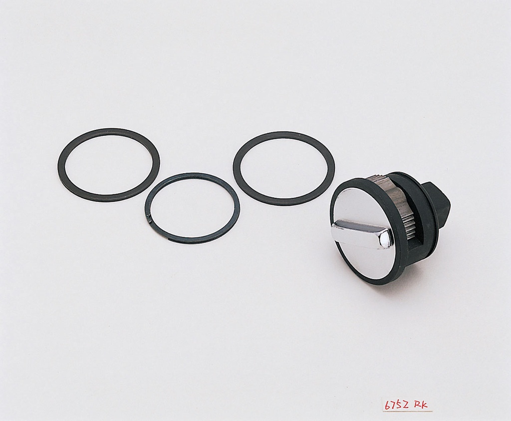 RENEWAL KIT (75800361, PICHLER)