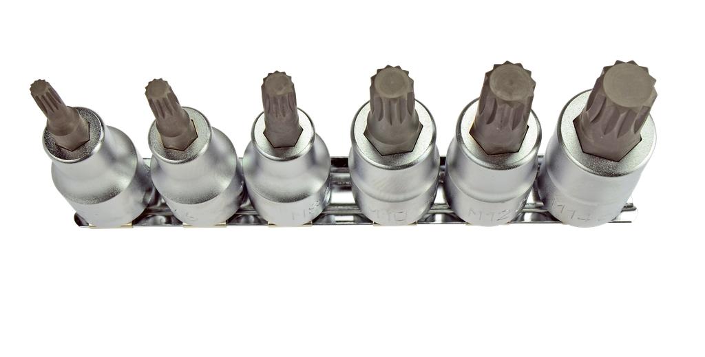 Spline Socket Set M5 - M14 drive 1/2" length 60 mm (7912000, PICHLER)