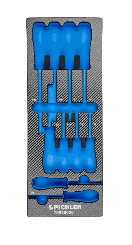 Einlage für 79930020 Schraubendreher Set, 10-tlg. TX (79929020, PICHLER)