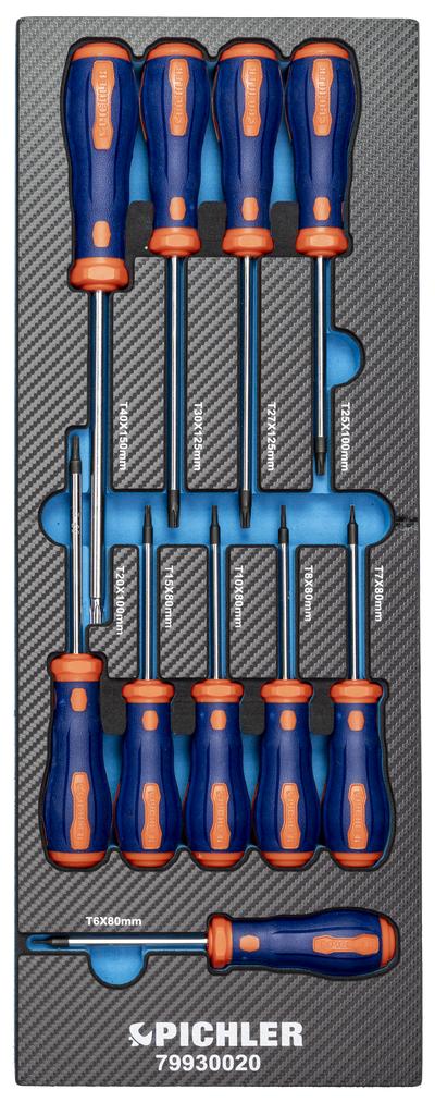 Screwdriver Set, 10 pcs., TX (79930020, PICHLER)