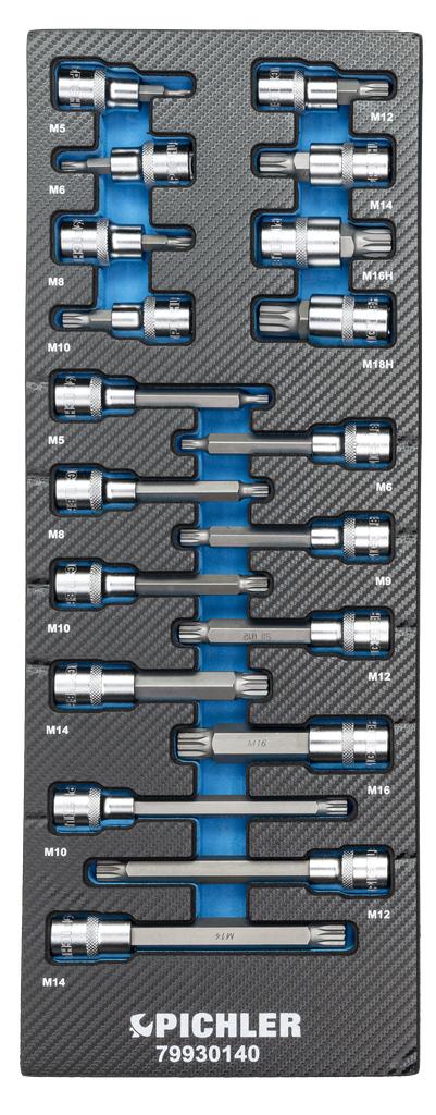 Socket Inserts 1/2" XZN, 19 pcs. (79930140, PICHLER)