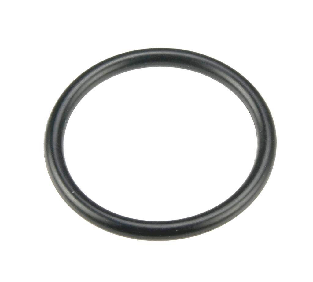O-Ring für Pumpe 80118204 (80118208, PICHLER)