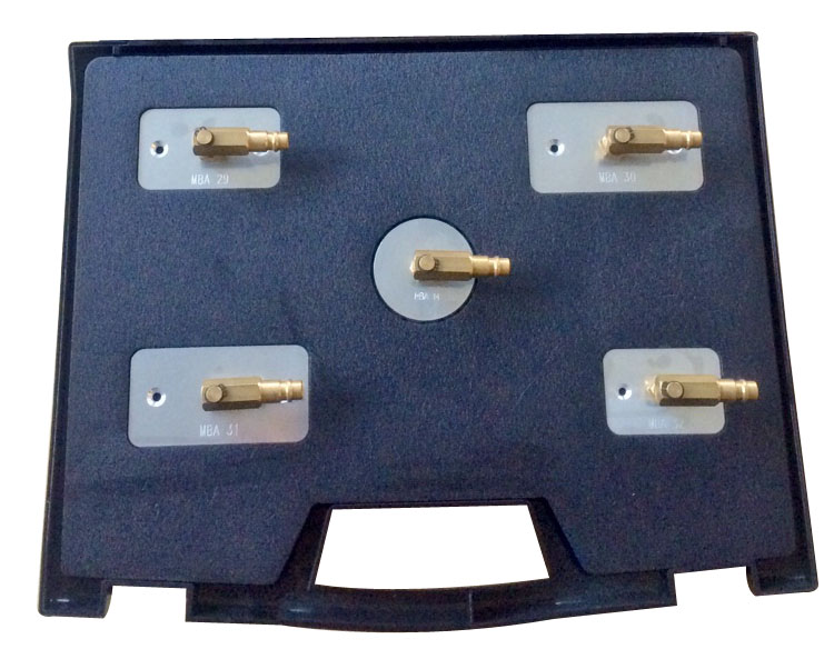 Brake Bleeder Adapter Set BMW MBA 10W, 11W & 12W (8064005, PICHLER)
