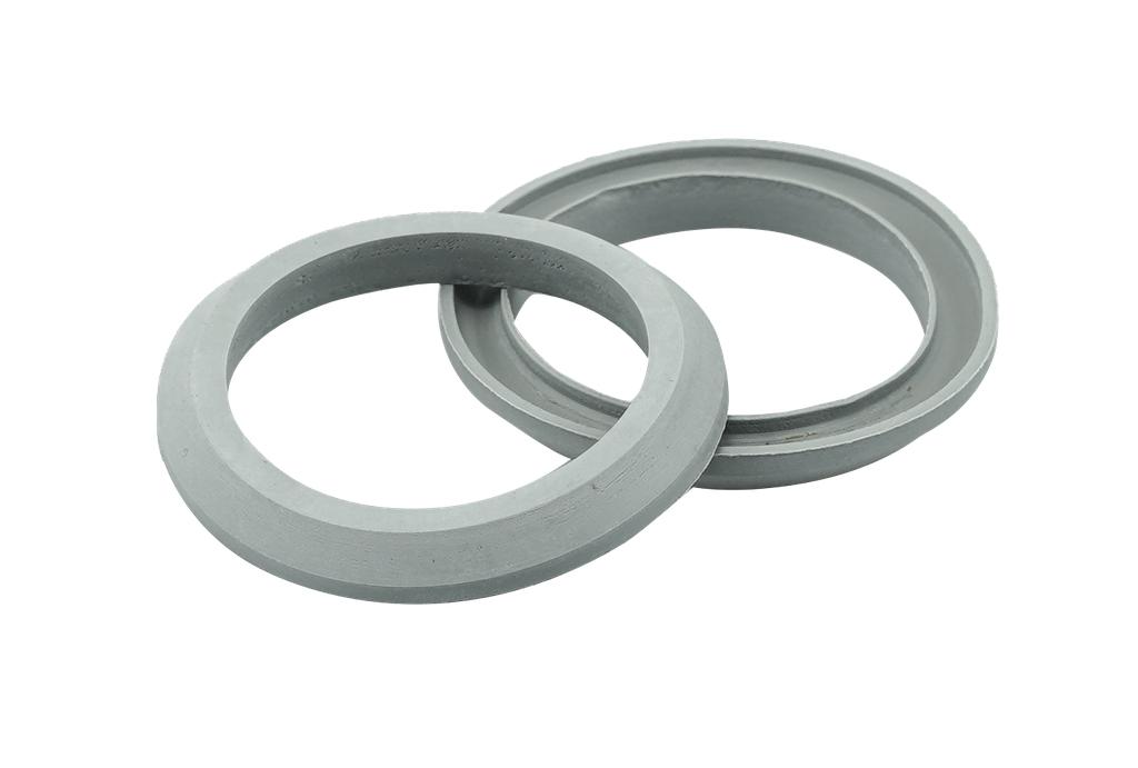 Sealing Ring Pair for Evacuation Dispensing Pump 200 (90118603, PICHLER)