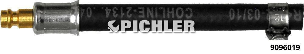 Hose ø6mm x 135mm, with hose clip and DN5 connector (9096019, PICHLER)