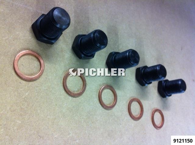 Spare screws M15 x 1,5 x 24 packing unit 5pcs (9121150, PICHLER)
