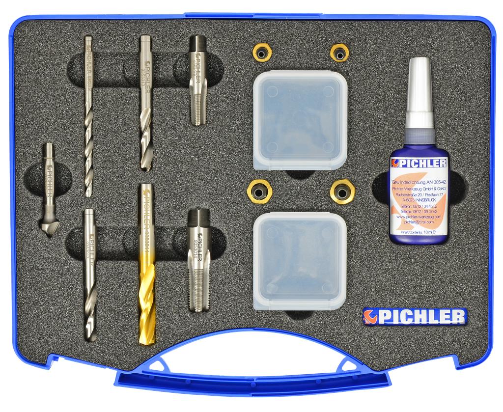 Brake calliper bleeder valve repair kit 12 pcs. 1/4" 1/8" NPT (9353010, PICHLER)