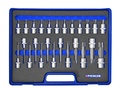 Torx Bit Socket Set 1/2 in., 26 pcs., T20–T100, 55, 100 and 140 mm Long (98844263, PICHLER)