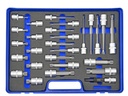 Spline Bit Socket Set ½" 27 pieces, XZN 5 to XZN 18, length 55mm, 100mm & 140mm (98844285, PICHLER)