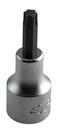 Muciņa ar Torx Plus uzgali 40 IP, garums 60 mm (9886040, PICHLER)