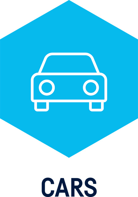 CARS Pro School licencija prietaisui ICON School, 1 metams (W015061700, AUTOCOM)