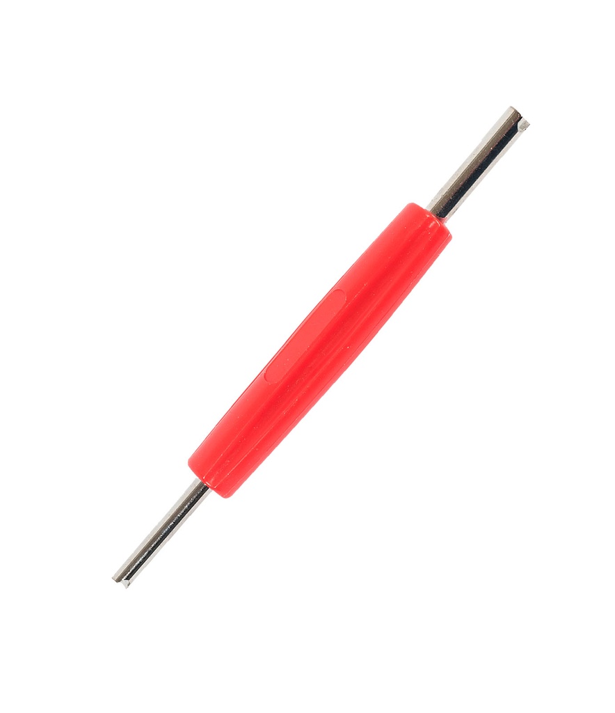 Valve tool with dual extraction valve, A/C (AEK317, ECOTECHNICS)