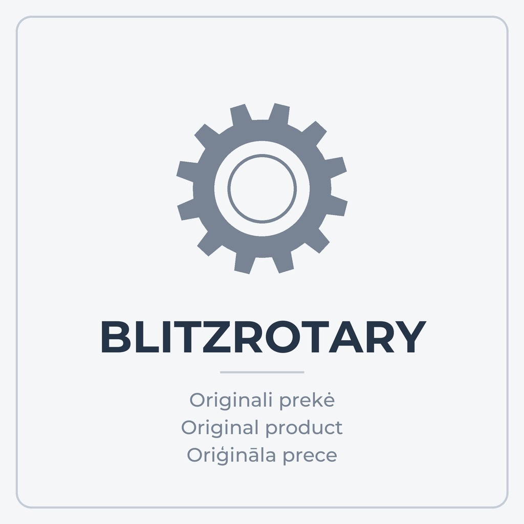 Pneumatic Pump for In-Ground Lift R20/15 (124515, BLITZROTARY)