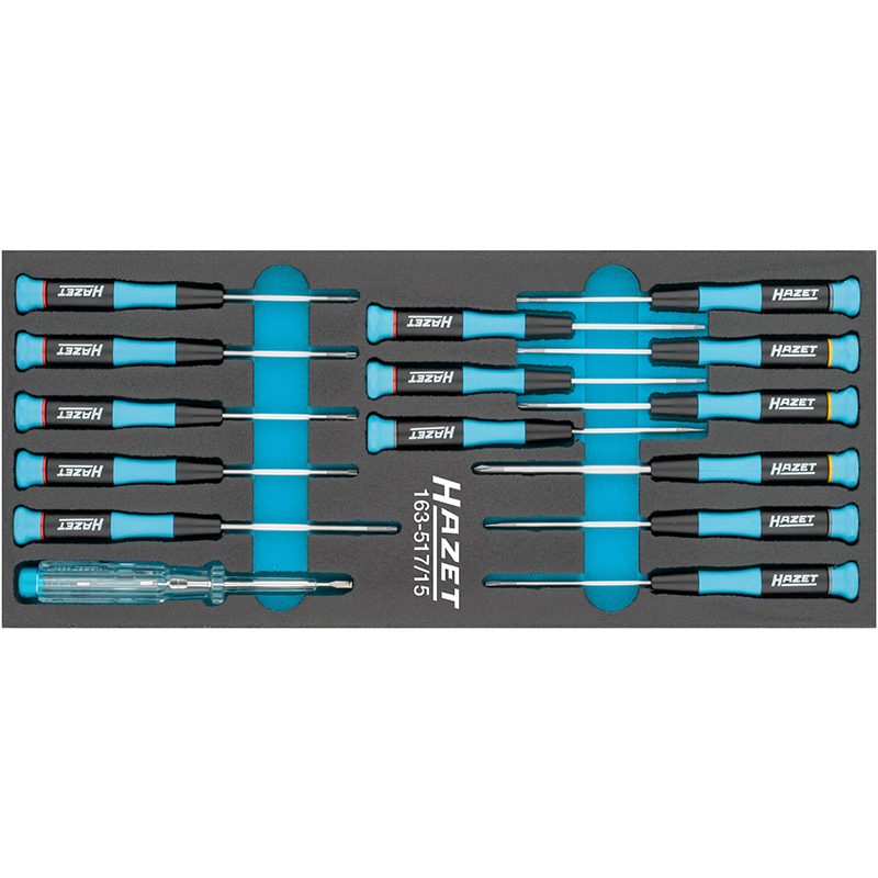 Elektronisko (precīzo) skrūvgriežu komplekts, 15 gab. – plakanie, Phillips, Torx (163-517/15, HAZET)