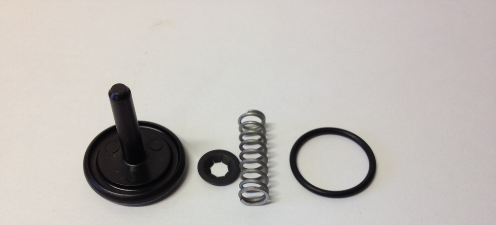 POPPET - P790 (DC708044SR, BLACKHAWK)