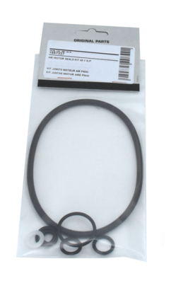 Gasket kit for air motor C115 (1557327, EUROLUBE)