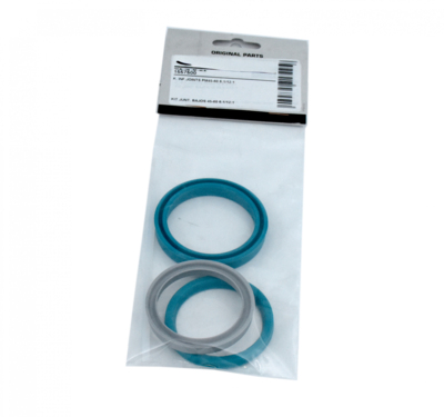 Lower Seals Kit for Pumps 22441 & 15755 (1557500, EUROLUBE)