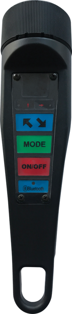 Torch and Bluetooth controls for play detectors, RAVAGLIOLI (VARR200/8BTH)