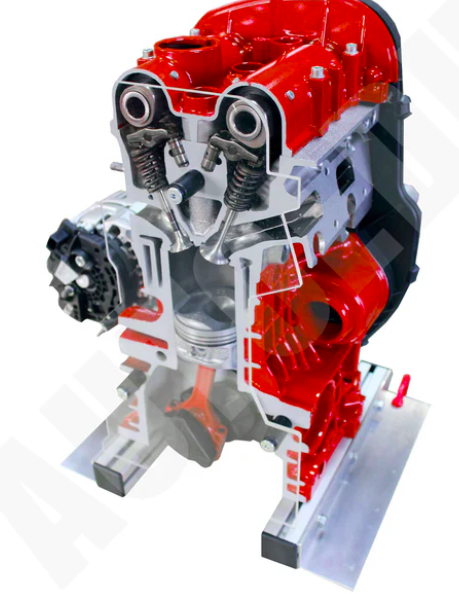 Benzininio DOHC variklio ½ pjūvio mokymo modelis (IVDB01, AUTOEDU)