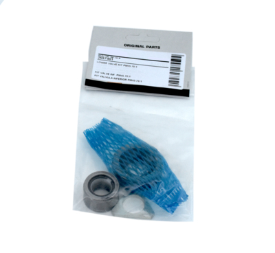 Apatinio vožtuvo rinkinys siurbliams 12830-32 ir 25730-32 (2557401, EUROLUBE)