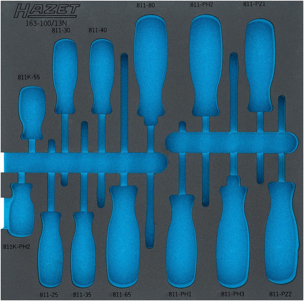 Two-component foam tool insert (163-100LN, HAZET)