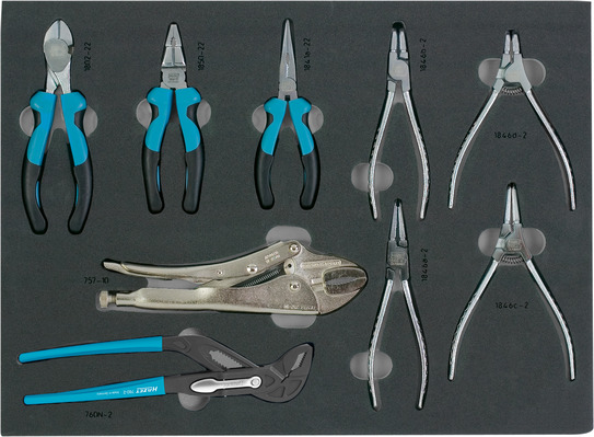Tool assortment BMW (163-108/9-BMW, HAZET)