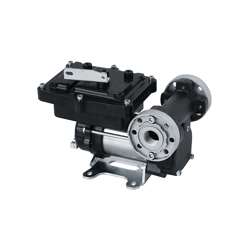 Rotacinis siurblys 12 V DC benzino perpylimui, savaime užsipildantis, atitinka ATEX 2014/34/EU (6931, FLEXBIMEC)