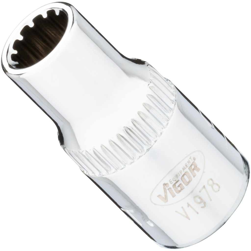 Muciņa ar universālo profilu 1/4 collas ∙ izmērs 5,5 mm (V1978, VIGOR)