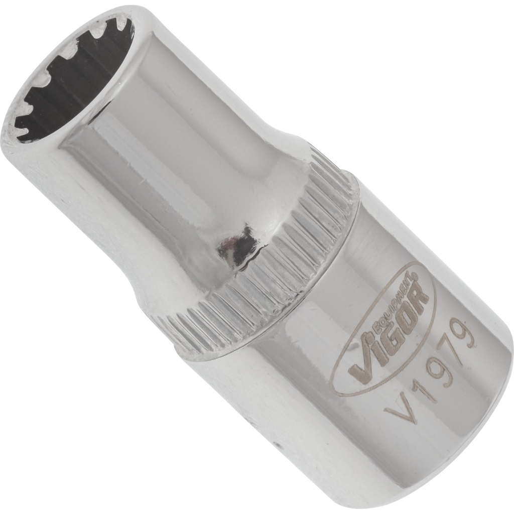 Socket with multi-purpose profile ∙ size 6 mm (V1979, VIGOR)