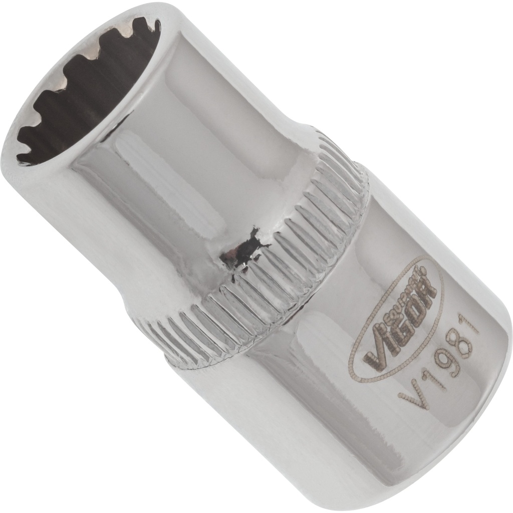 Socket with multi-purpose profile ∙ size 8 mm (V1981, VIGOR)
