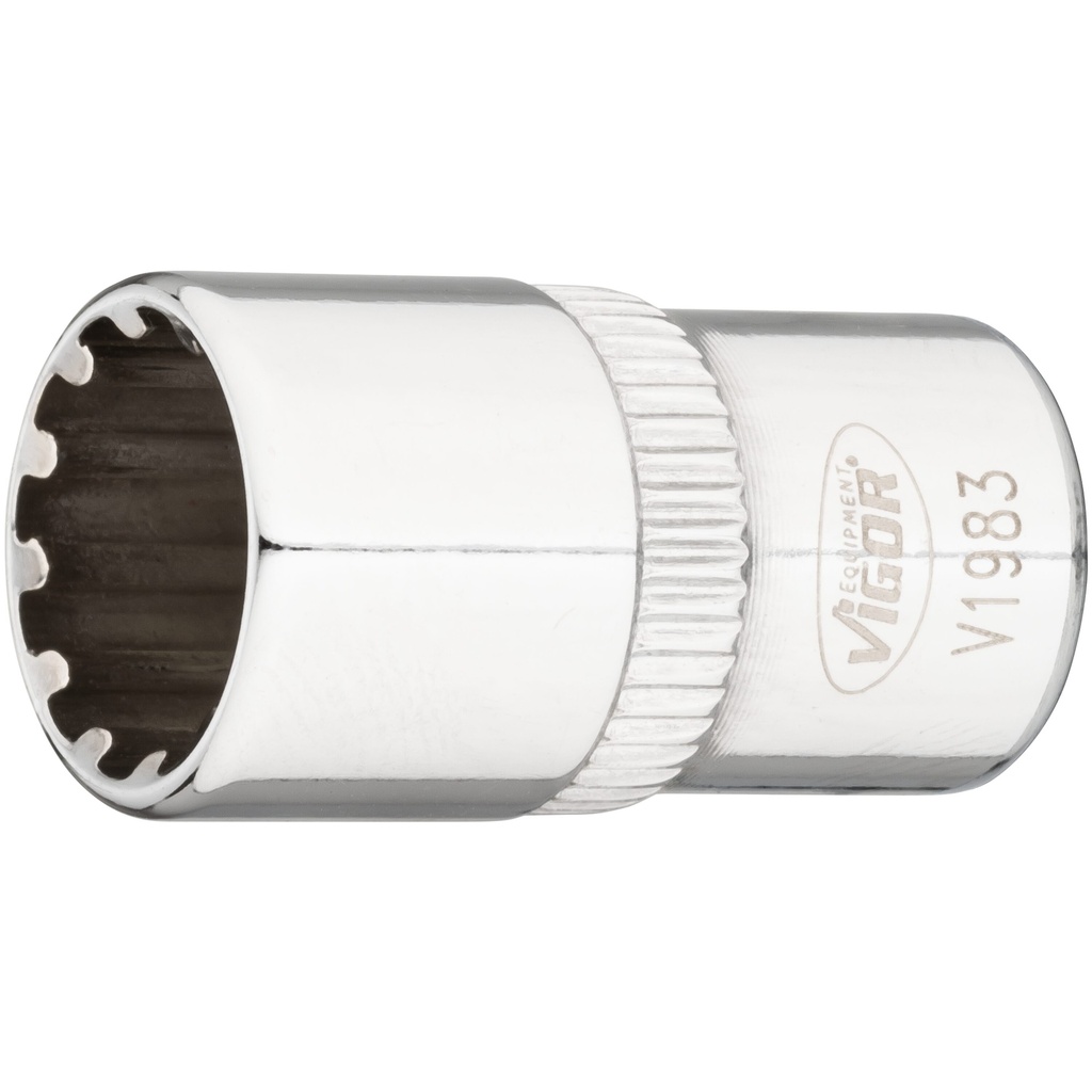 Galvutė with multi-purpose profile ∙ size 10 mm (V1983, VIGOR)