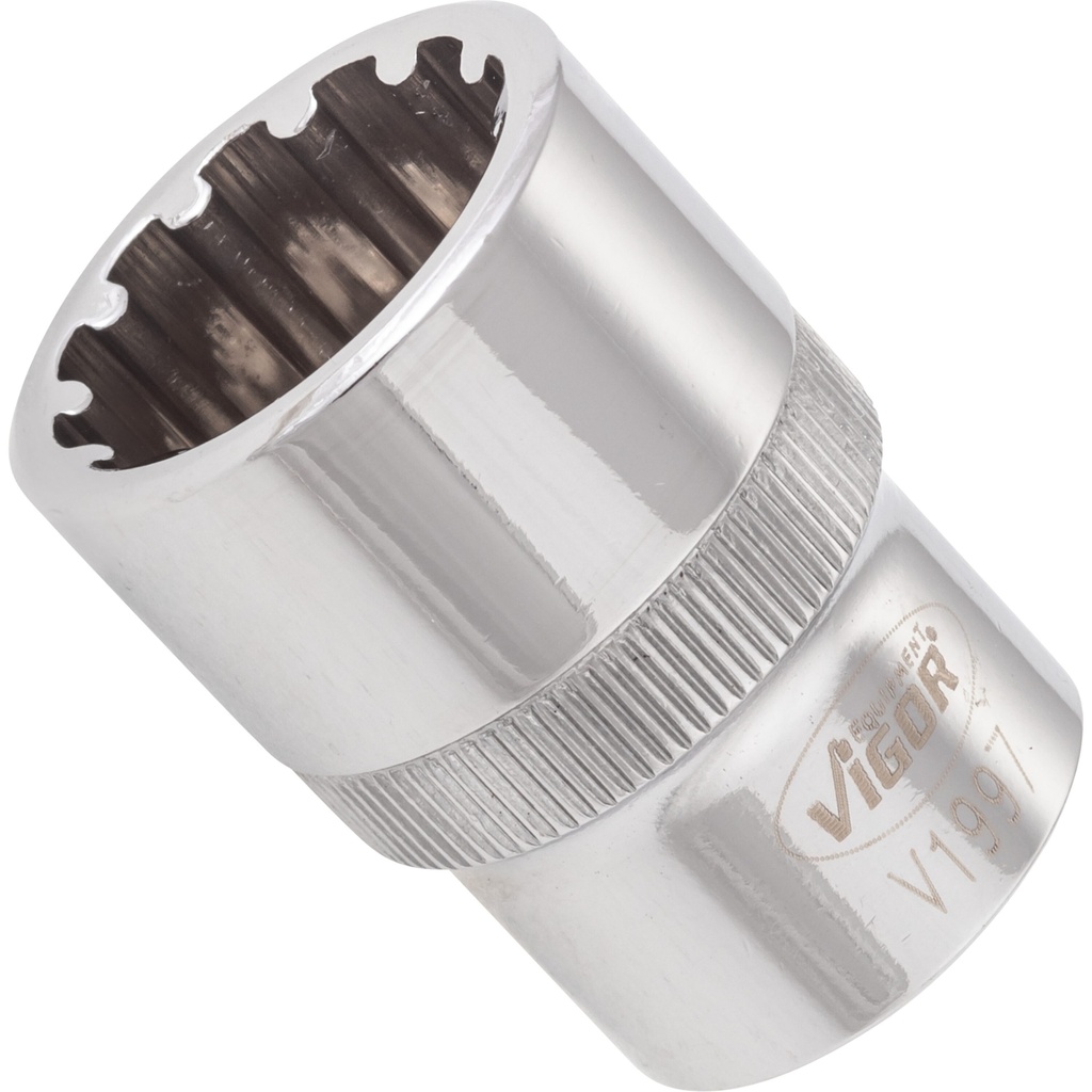 Galvutė with multi-purpose profile ∙ size 19 mm (V1997, VIGOR)