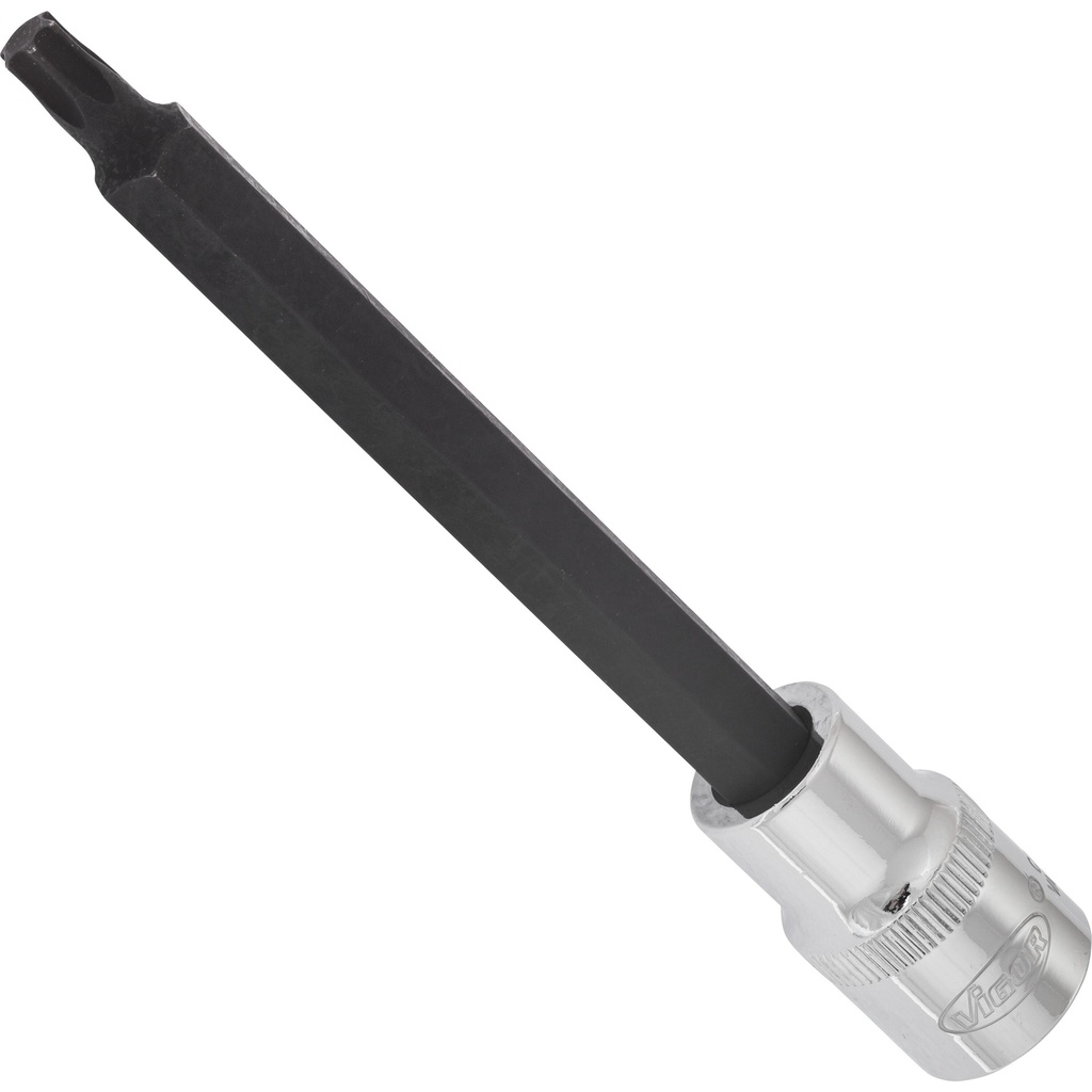 T screwdriver socket, size T40 (V2173, VIGOR)