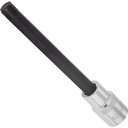T screwdriver socket, size T55 (V2176, VIGOR)