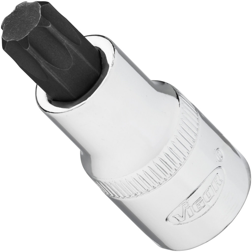 Socket (V2198N, VIGOR)