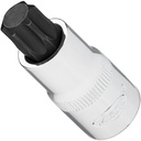 Socket (V2199N, VIGOR)