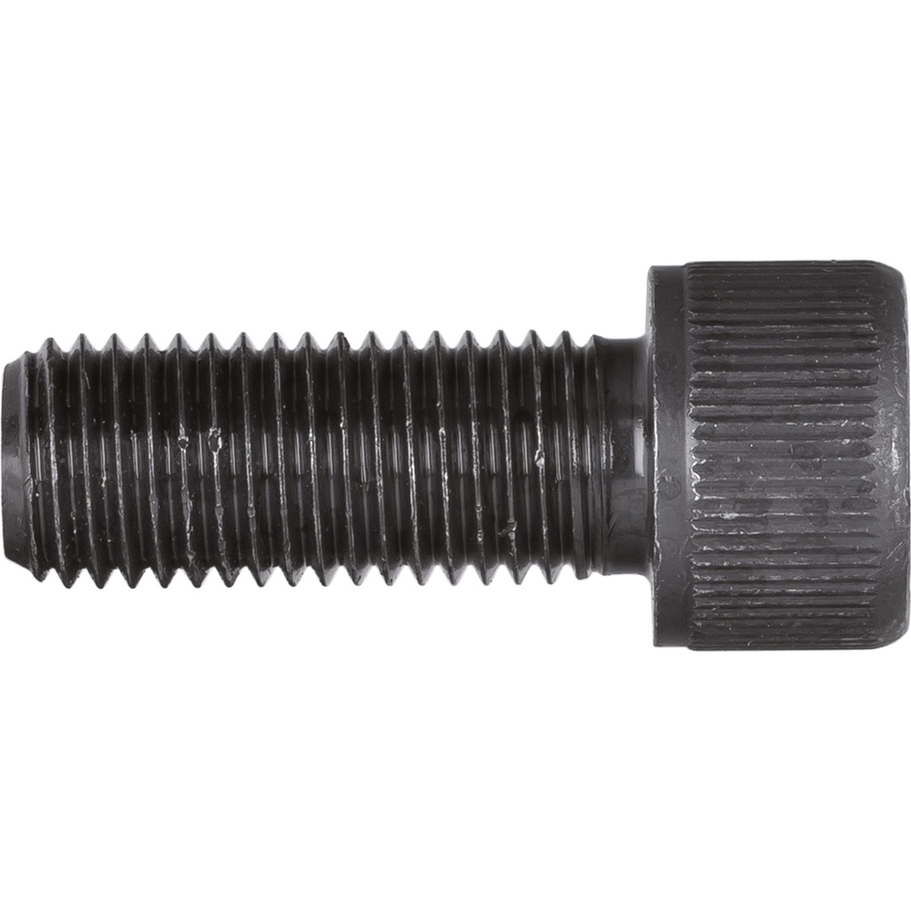 Varžtas M16 x 40 mm (V3056, VIGOR)