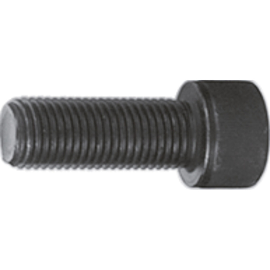 Skrūve M22 x 60 mm (V3263, VIGOR)