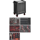 Instrumentu ratiņi L sērija, ar instrumentu komplektu (V4560-X, VIGOR)