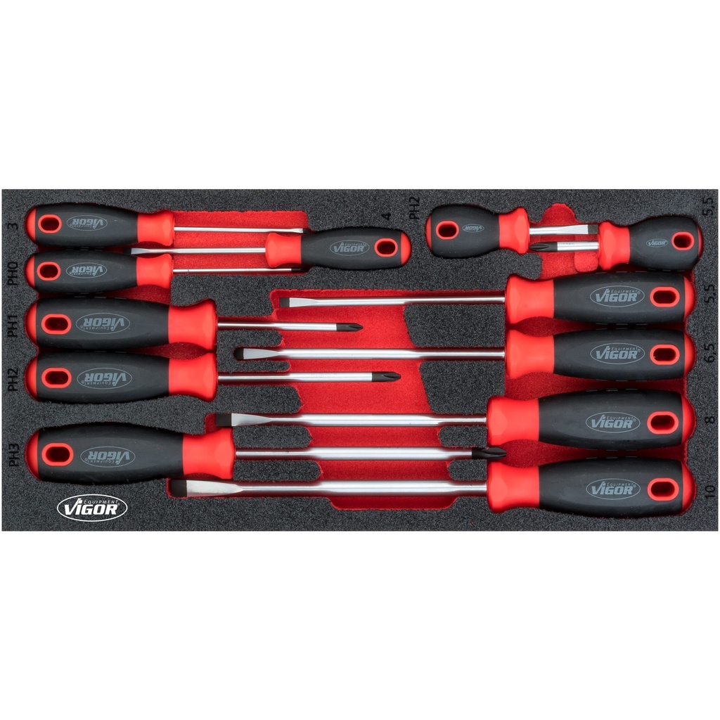 Screwdriver set in foam insert, 12 pieces (V4989, VIGOR)